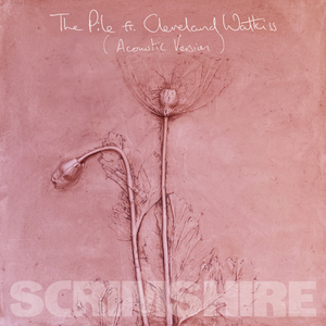 The Pile (Acoustic Version)