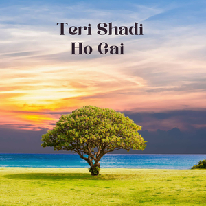 Teri Shadi Ho Gai