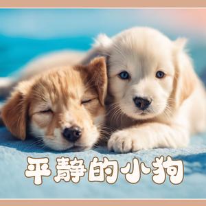 舒缓狗狗的情绪