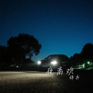 夜离欢
