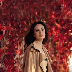 _等着我回来-星星点燃了