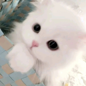 会呼吸的痛（长笛）