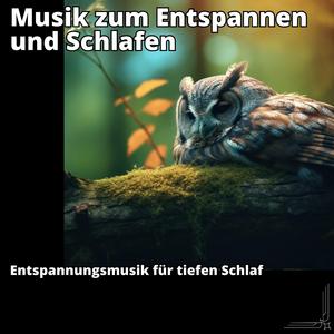 Die süße Schlafmelodie