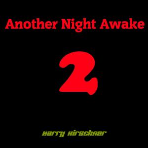 Another Night Awake (Version 2)