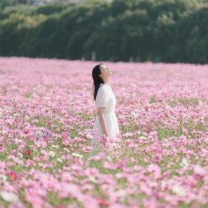 寻爱启示 (Cover 灼夭)