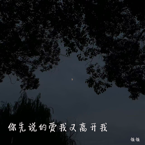你先说的爱我又离开我（伴奏）