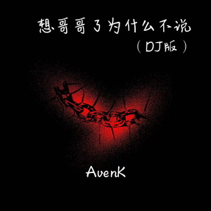 想哥哥了为什么不说（DJ版）
