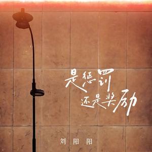 是惩罚还是奖励 (DJ阿谭版)