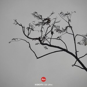 街角（我在成都等你）