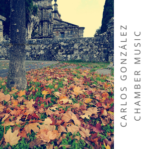 Pequeños Preludios para Piano y Pequeña Percusión: III. Hiriente, Incisivo