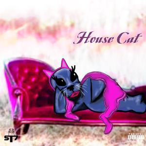 HouseCat
