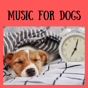 Classical Music for Pets