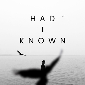Had I Known (feat. Tarmi, Vanjerry, Bellodhope & Khiz Jaden)