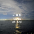 月光光 (DJ风景线 remix)