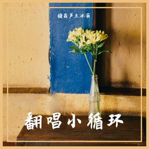 我们的爱是酸菜（抒情版）