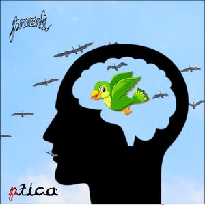 Ptica (male ljubezni)