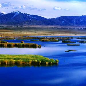 苏珊（吉他版）