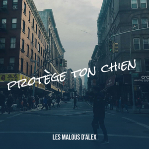 protège ton chien