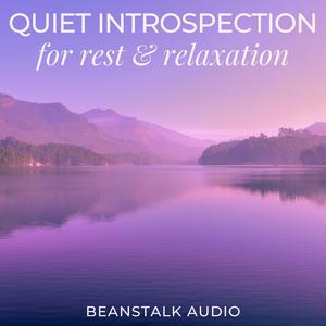 Quiet Introspection