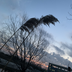 IMG_2022-01-11_22:14:16.wav