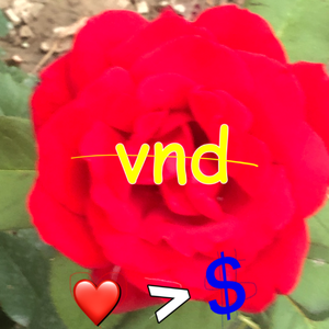 vnd