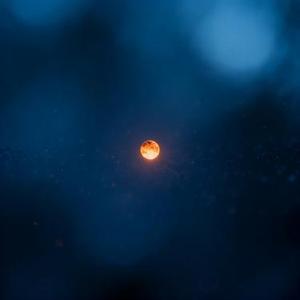 蝉鸣星火