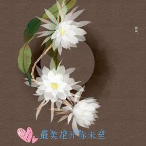 星里犹你