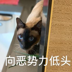 蚊子