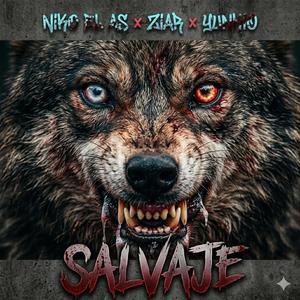 Salvaje (feat. Yunkio & Ziar)