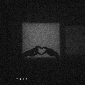 Trip