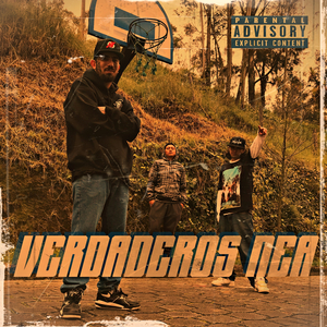 Aunque Me Cueste la Vida