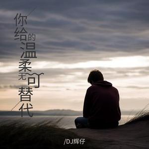 你给的温柔无可替代 (Live)