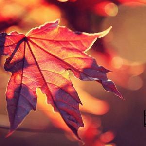 Russ - psycho(Remix)