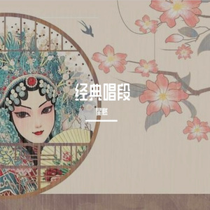 《红娘》选段（一封书倒做了婚姻媒证）