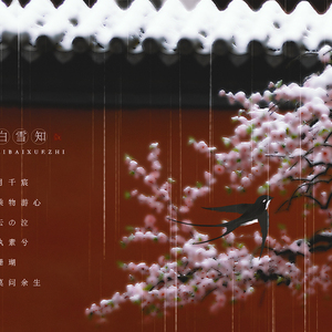 红梅白雪知（Cover 云之泣）