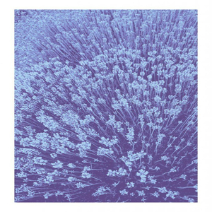 Inverted Horizon, Pt. 1