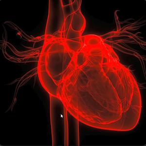 Grip on my Heart remixed (Metal Version)