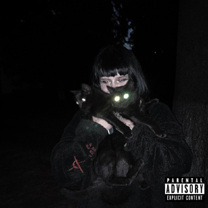 передаюпока