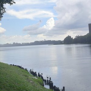 蔡依林-妥协抒情版