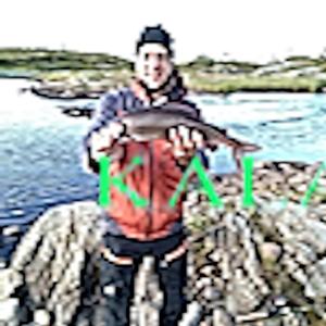 Hullu Kilpikonna-akka (241) (feat. Timo of the Night)