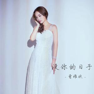 没你的日子 (伴奏)
