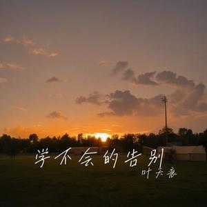 学不会的告别
