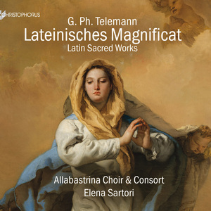 Concerto da chiesa in G Major, TWV 33:2: III. Andante