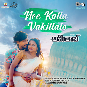Nee Kalla Vakillallo (From "Amitabh")