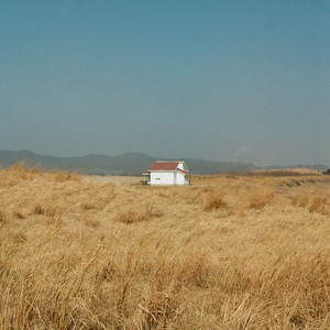 도래