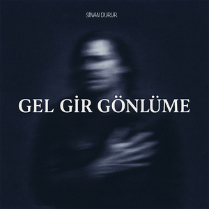 Gel Gir Gönlüme