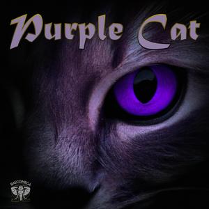 Purple Cat