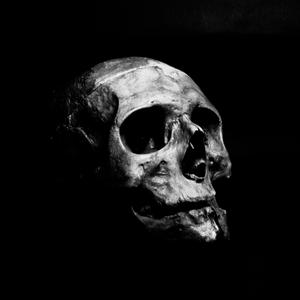 Fed Up (feat. Exodus, Keyps, Trife Bomber & Sick One)