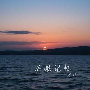 失眠记忆 (Cover 陈子晴)