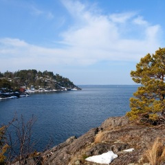 好了伤疤忘了痛